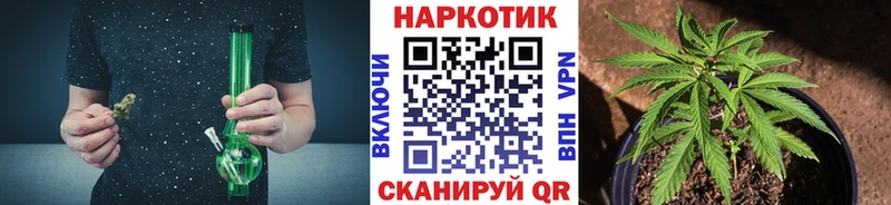 Как найти наркотики Катав-Ивановск A-PVP  Конопля  Бутират  ГАШ  Мефедрон 