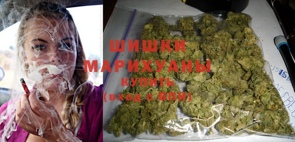 мдпв Бронницы