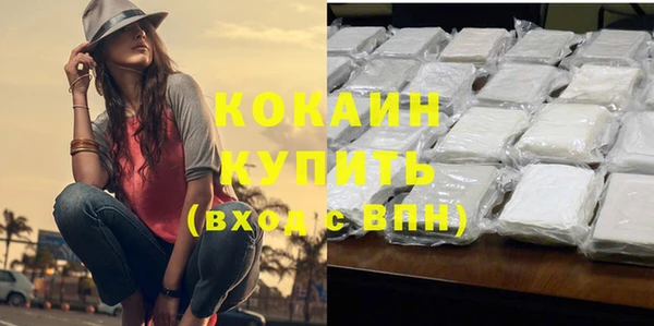 мдпв Бронницы
