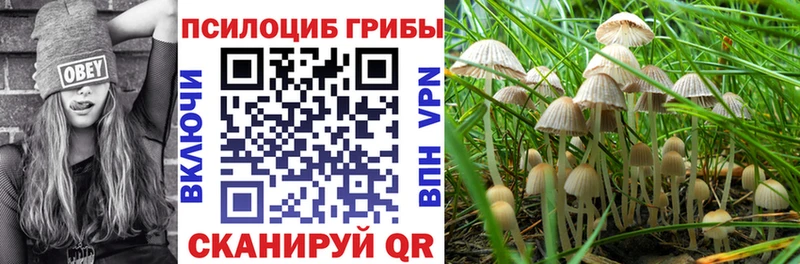 Галлюциногенные грибы Magic Shrooms Катав-Ивановск
